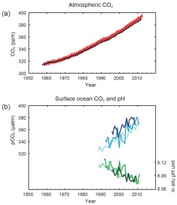 CO2 in atmosphere and oceans