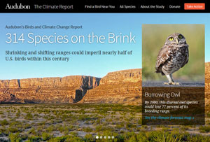 The-Audubon-Birds-&-Climate-Change-Report