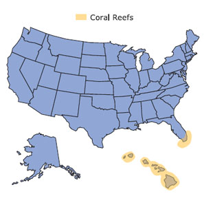 US coral reefs