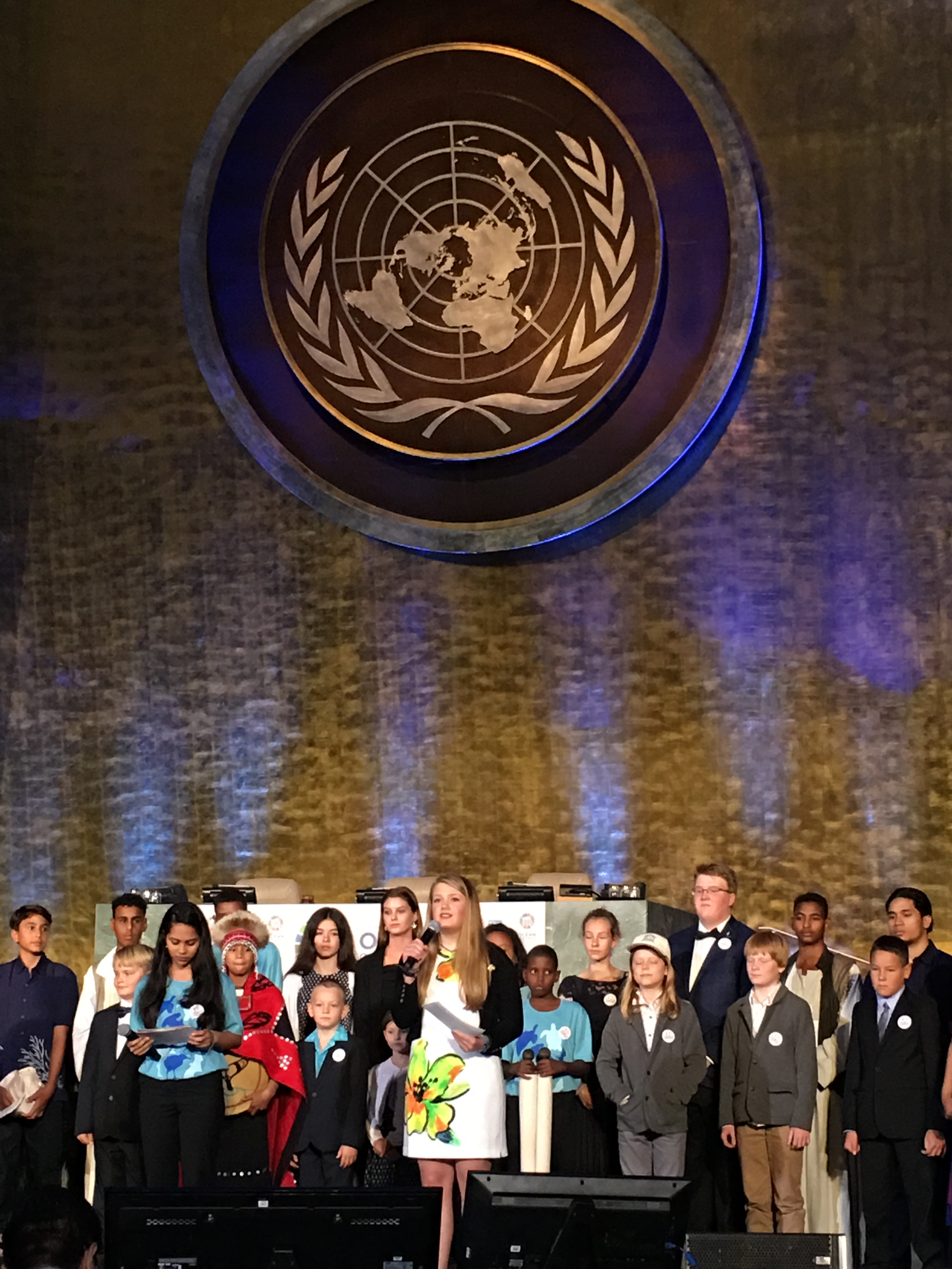 Delaney United Nations